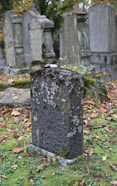 Datei:Cogl-146-Foto-03.jpg