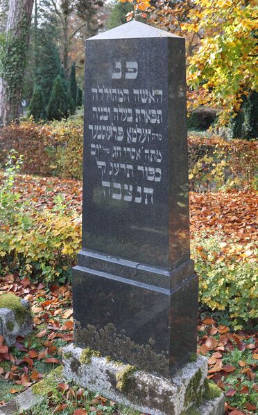 Datei:Cogl-095-Foto-09 neu.jpg