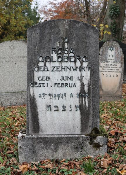 Datei:Cogl-175-Foto-02.jpg