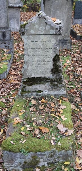 Datei:Cogl-069-Z71A4419.jpg