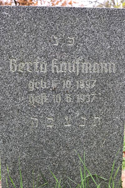 Datei:Cogl-195-Foto-02.JPG