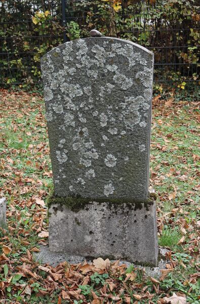 Datei:Cogl-166-Foto-04.jpg