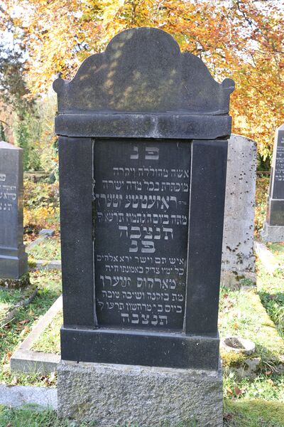 Datei:Cogl-104-Foto-01.JPG