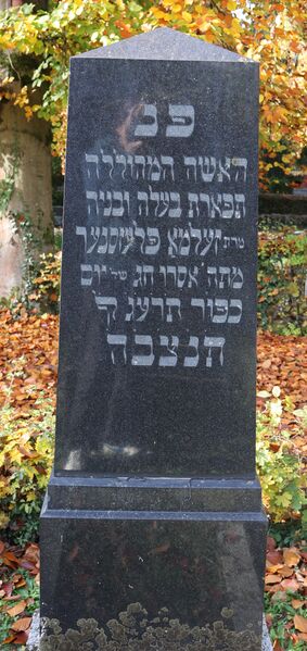 Datei:Cogl-095-Foto-07 neu.jpg