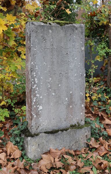 Datei:Cogl-208-Foto-04.jpg