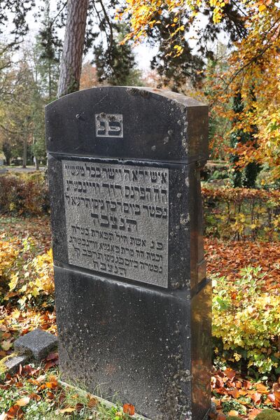 Datei:Cogl-089-Foto-6.JPG