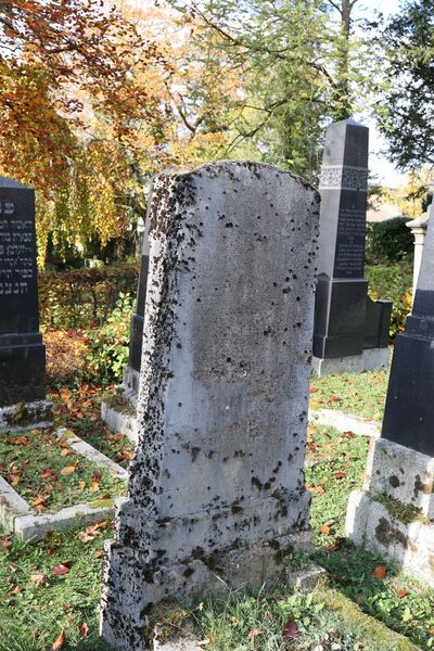 Datei:Cogl-094-Foto-08.JPG