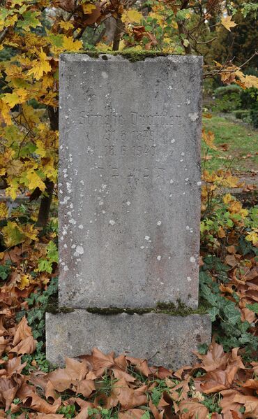 Datei:Cogl-208-Foto-01.jpg