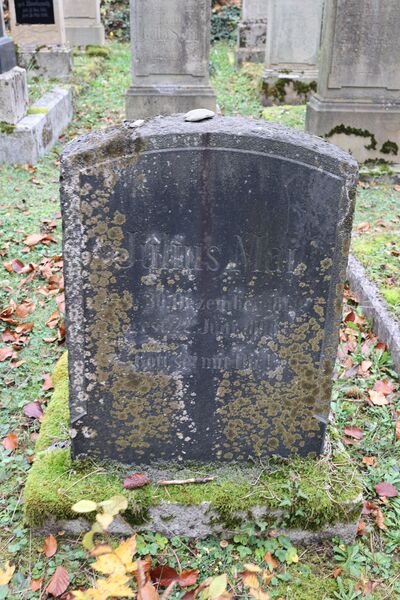 Datei:Cogl-058-Foto-02.JPG