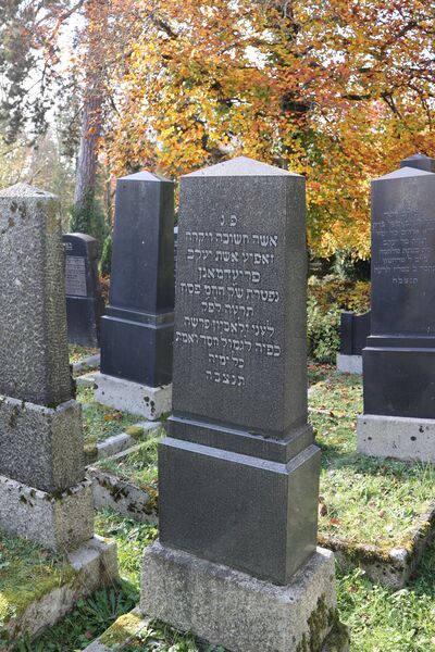 Datei:Cogl-103-Foto-09.JPG