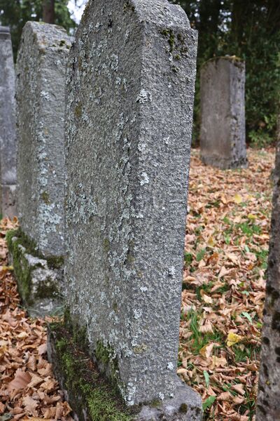 Datei:Cogl-164-Foto-05.JPG