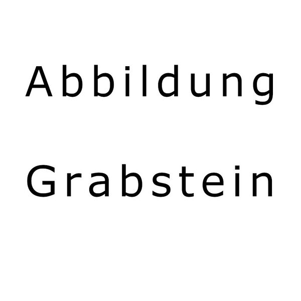 Datei:Platzhalter Wiki.jpg