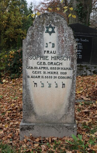 Datei:Cogl-160-Foto-00.jpg
