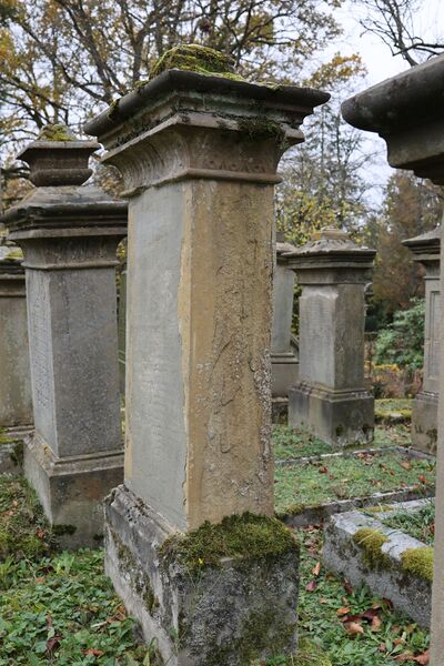Datei:Cogl-060-Foto-12.JPG