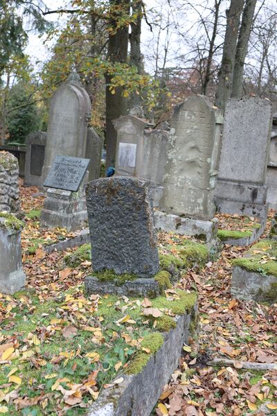 Datei:Cogl-090-Foto-3.JPG