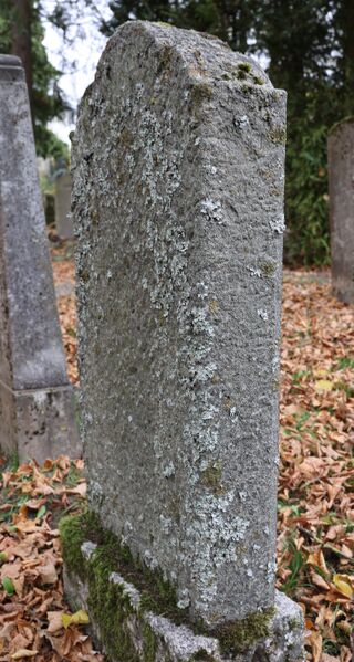 Datei:Cogl-149-Foto-08.jpg