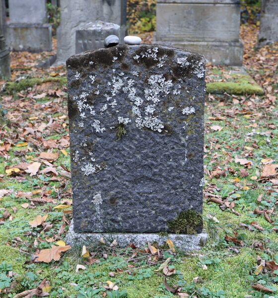 Datei:Cogl-146-Foto-02.jpg