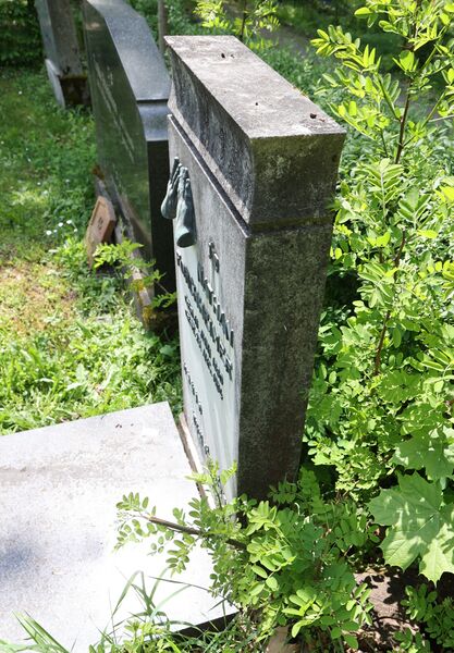 Datei:Cogl-180-Foto-Serie3-02 neu.jpg