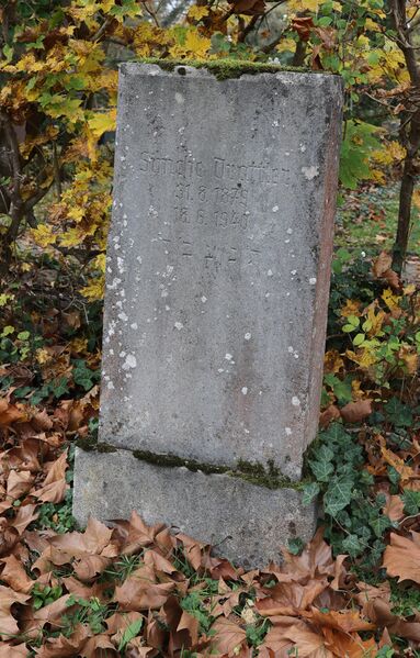 Datei:Cogl-208-Foto-00.jpg